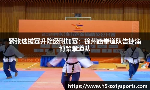 中欧体育