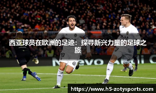 中欧体育